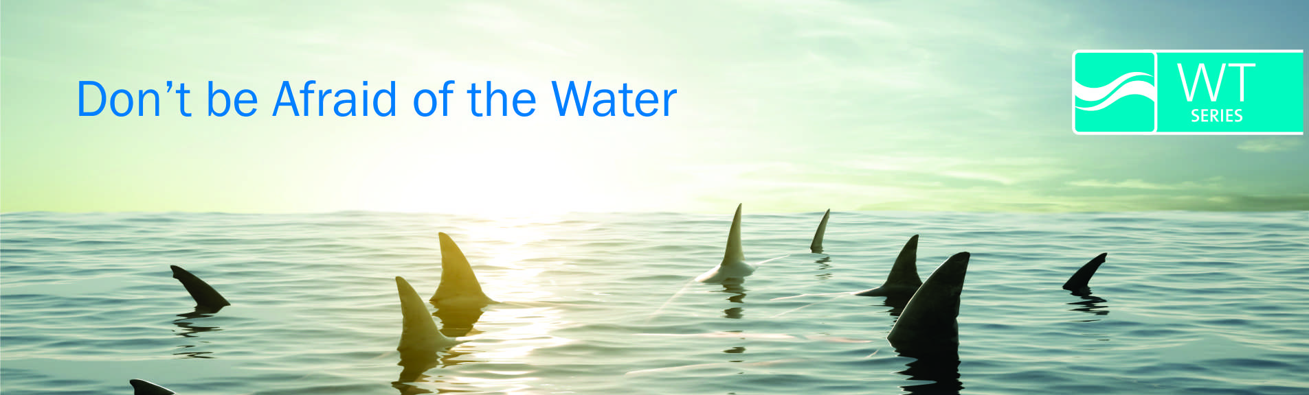 Water Treatment Solutions